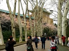 -武汉大学-樱园