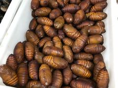 -宾朋海鲜特色美食餐厅·纯手工鲅鱼水饺(兴海路店)