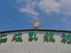 -石岐乳鸽村(桥观坊南四巷店)