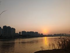 -江心屿景区