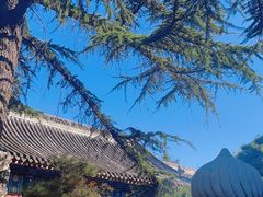 -白云观