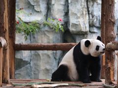 -泉州海丝野生动物世界