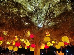 -句容茅山景区