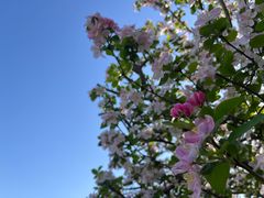 -苏州上方山国家森林公园