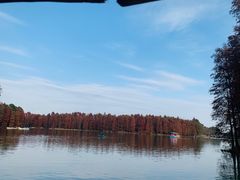 -上海海湾国家森林公园