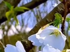 -观唐（国际）度假村温泉