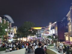 -Salud撒露欧洲冻酸奶(蓝色港湾店)