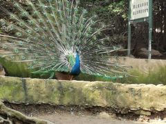 -燕塞湖鸟语林景区