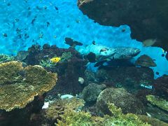-鹿儿岛水族馆
