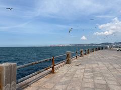 -悦海公园