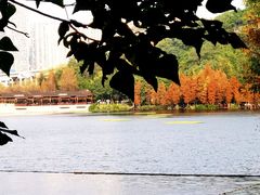 -重庆彩云湖湿地公园