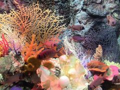 -太平洋海底世界