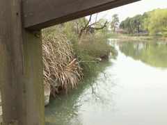 -梁鸿国家湿地公园