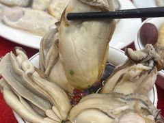 -花苑美食横琴生蚝火锅(拱北粤华路店)