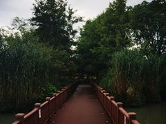 -青枫公园