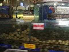 -欢乐海岸美食联盟