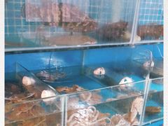 水产区-云南巷海鲜大咖·可加工海鲜