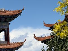 -大悲禅寺
