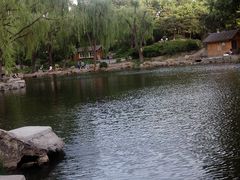 -紫竹院公园冰场