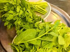 豌豆尖-太婆天府山珍酒楼(亚运村店)