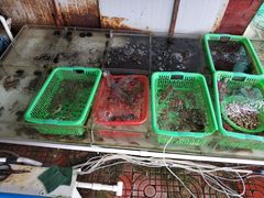 -阿古海鲜大排档(青澳湾自然之门六年好店)