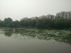 -新江湾城公园