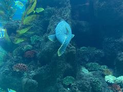 -鸿通城购物中心