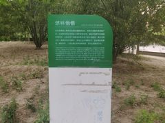 -坝河休闲公园