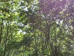 -道须沟旅游风景区
