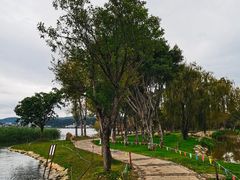 -洱海月湿地公园
