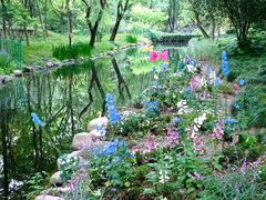 -上海共青森林公园