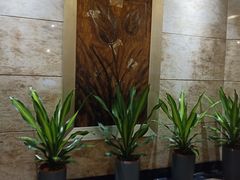 -艺境水疗生活空间(广场明珠店)