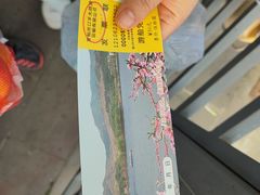 -河口景区