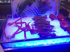 -成都蒲江花样年福朋喜来登度假酒店·宜客乐西餐厅