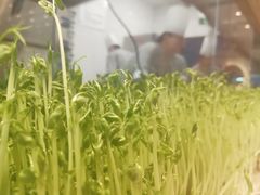 -千稻剁椒大鱼头(CityOn熙地港店)