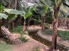 -呀路古热带植物园