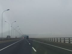 -洋山深水港