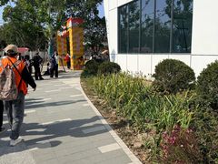 -上海长兴岛郊野公园