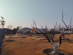 -太湖雪蚕桑文化园