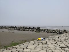 -南汇嘴观海公园