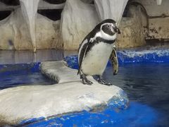 -太平洋海底世界