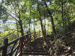 -广州市石门国家森林公园