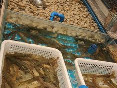 -一方渔歌蒸汽海鲜自助(文化路万达广场店)