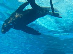 -上海海昌海洋公园