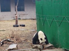 -沈阳森林动物园