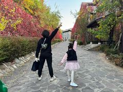 -蜻蜓逐宴全日制西餐厅I古北水镇大酒店