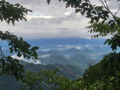 -天目山大树王景区