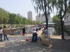 -前关湿地公园