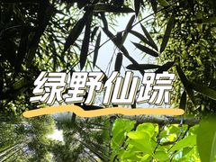 -树山生态村