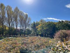 -长春公园(普阳街道)